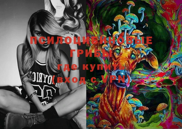 прущая мука Няндома