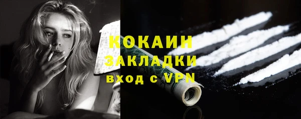 прущий лед Алзамай