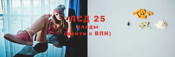 прущий лед Алзамай