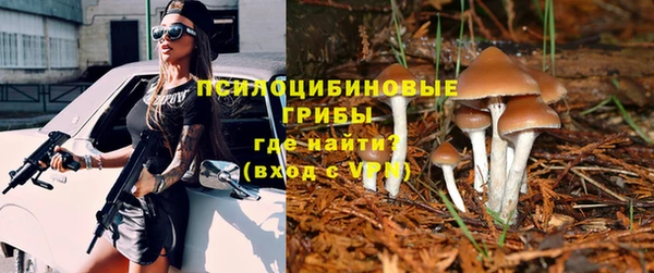 гашик Нязепетровск