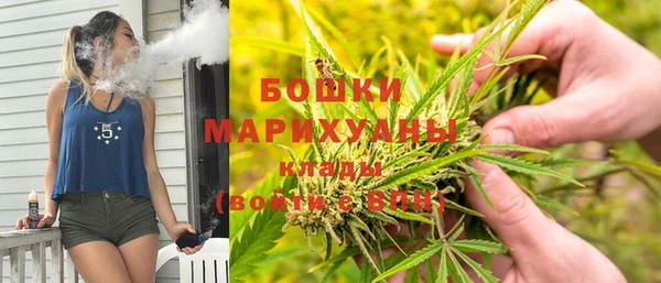 прущая мука Няндома